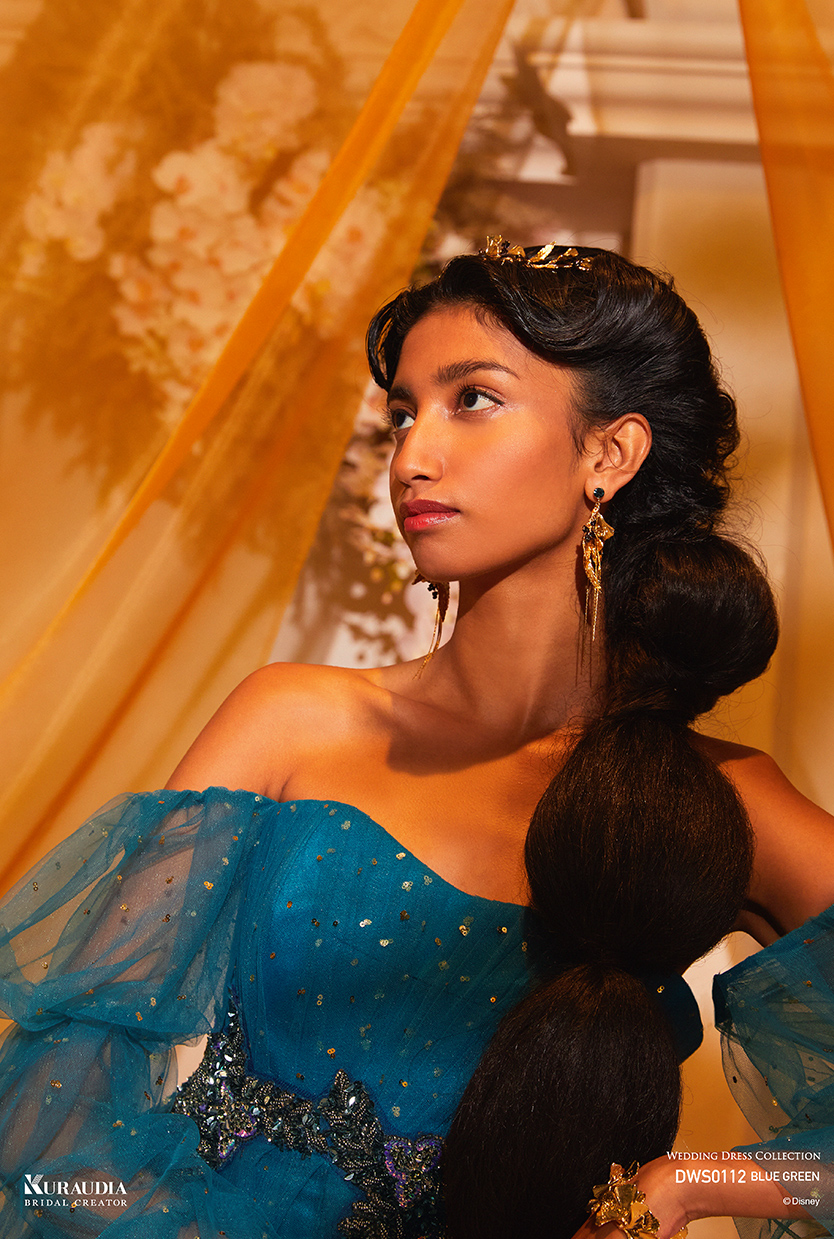 ディズニー ウェディングドレスコレクション DRESS GALLERY BOX